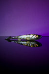 Toppi Shad - Army Pike 18cm